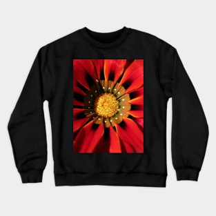 Gazanea Flower from Morgan Crewneck Sweatshirt